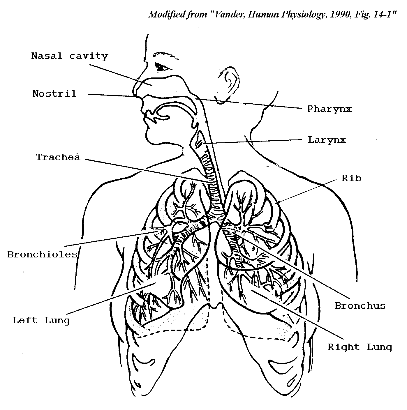 biology-coloring-page-0011-q1