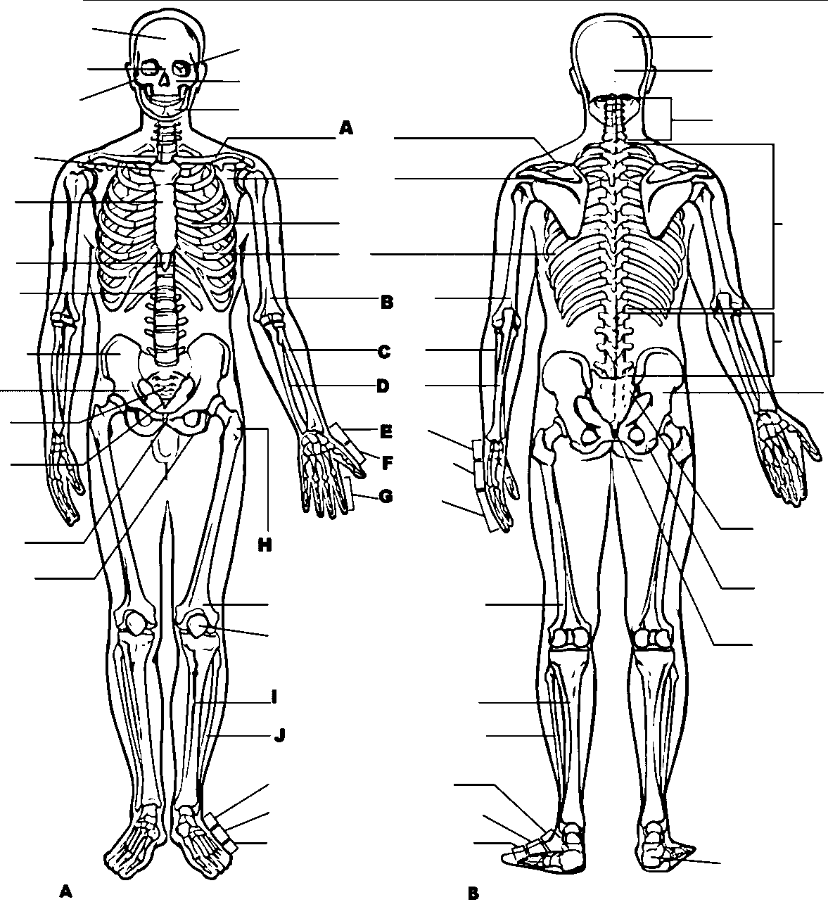 biology-coloring-pages-books-100-free-and-printable