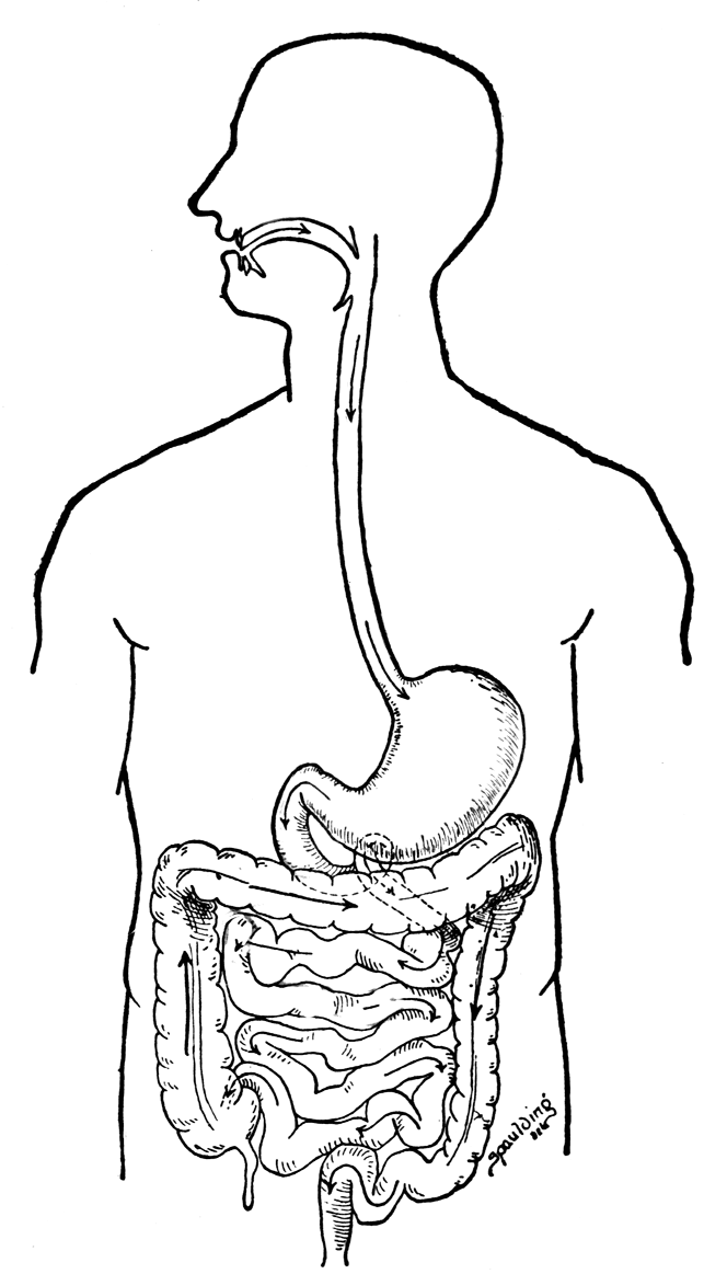 biology-coloring-page-0033-q1