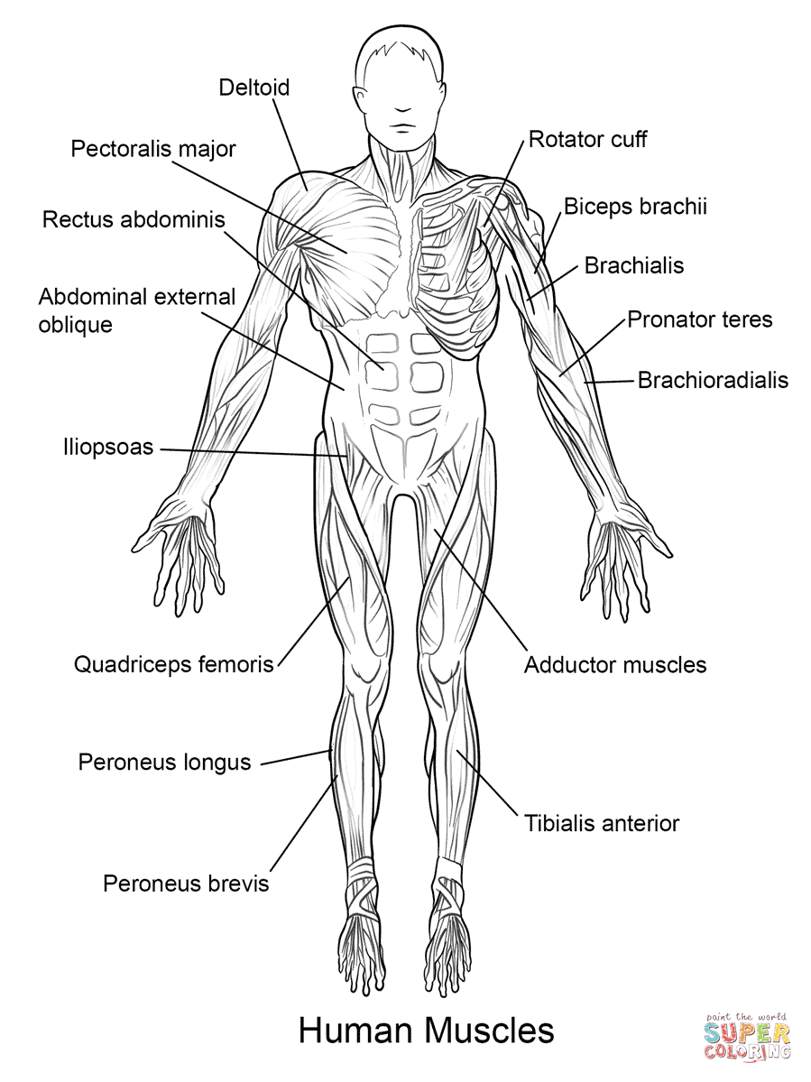 biology-coloring-page-0034-q1