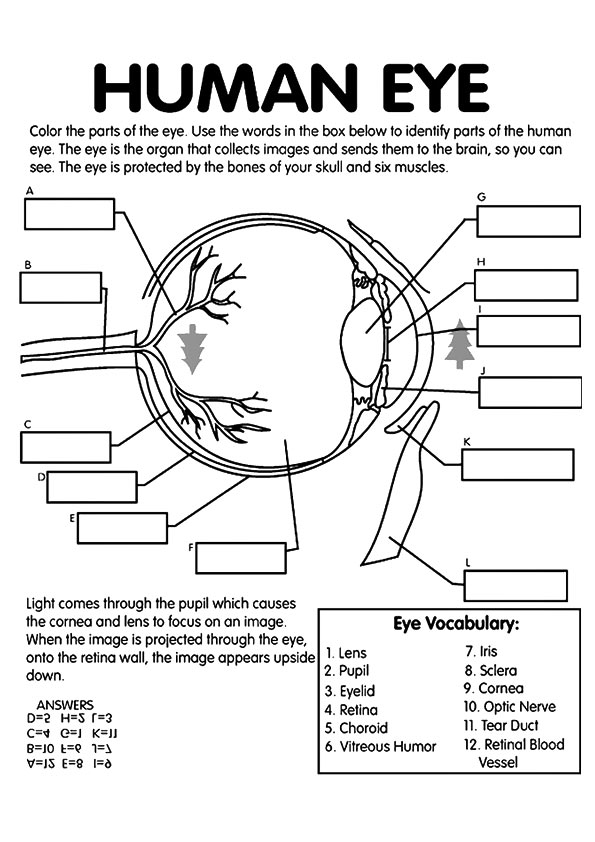 biology-coloring-page-0044-q2