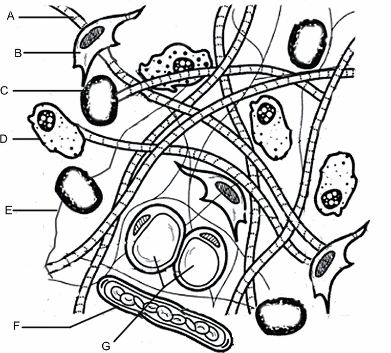 biology-coloring-page-0065-q1