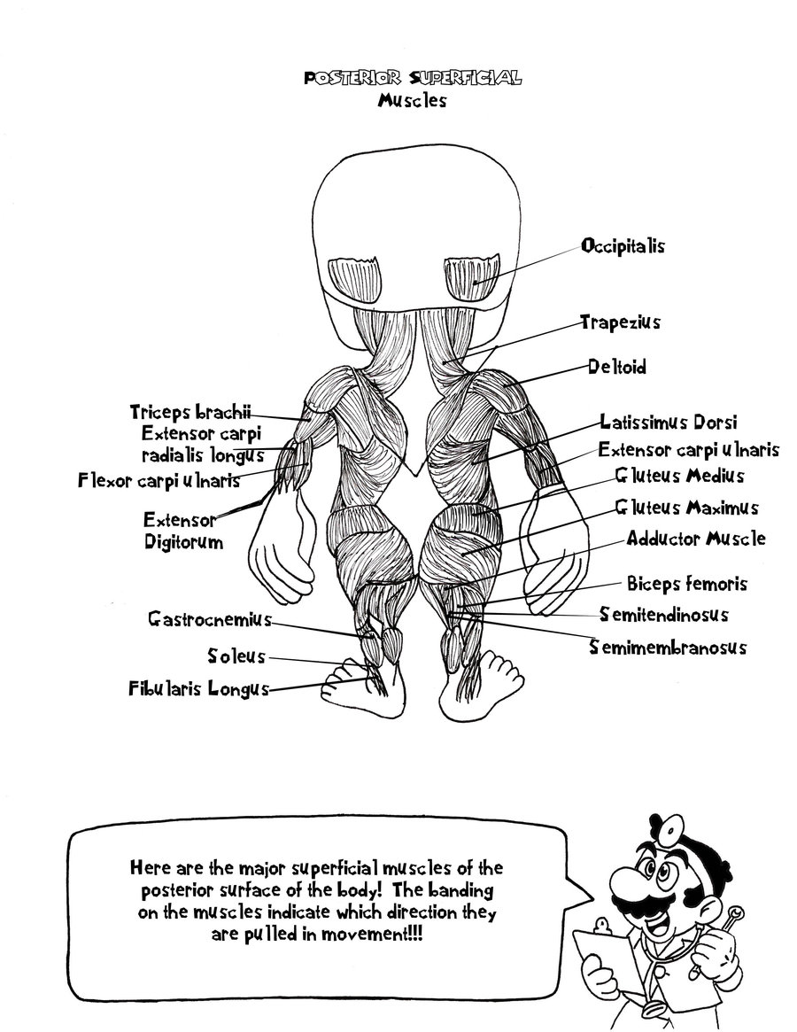 biology-coloring-page-0066-q1