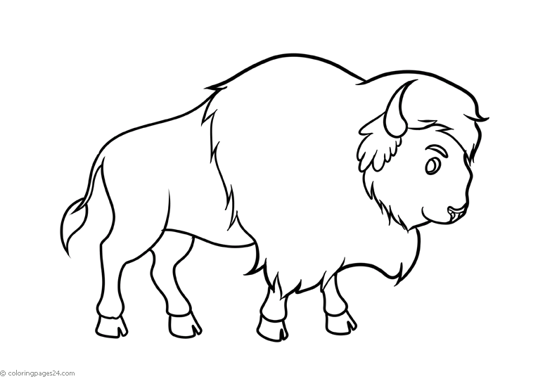 buffalo-coloring-page-0006-q3
