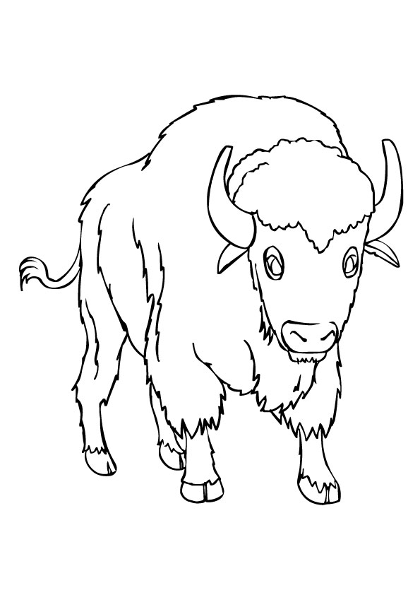 buffalo-coloring-page-0028-q2