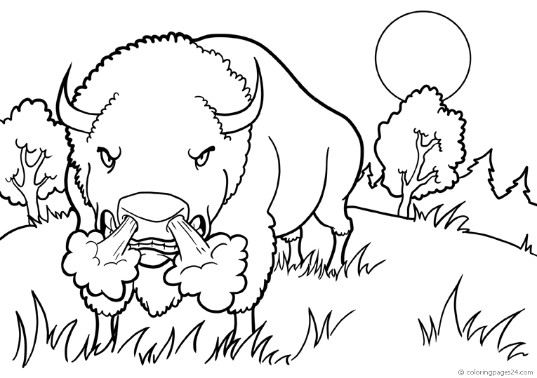 buffalo-coloring-page-0029-q3