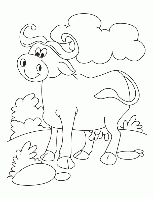 buffalo-coloring-page-0032-q1