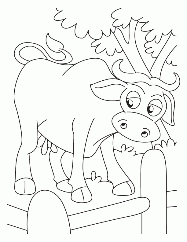 buffalo-coloring-page-0035-q1
