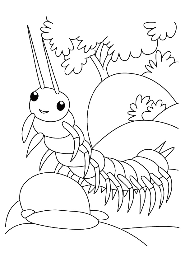 bug-coloring-page-0010-q2