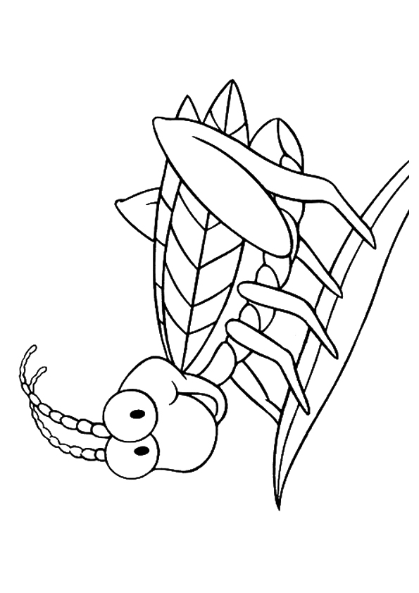 bug-coloring-page-0012-q2