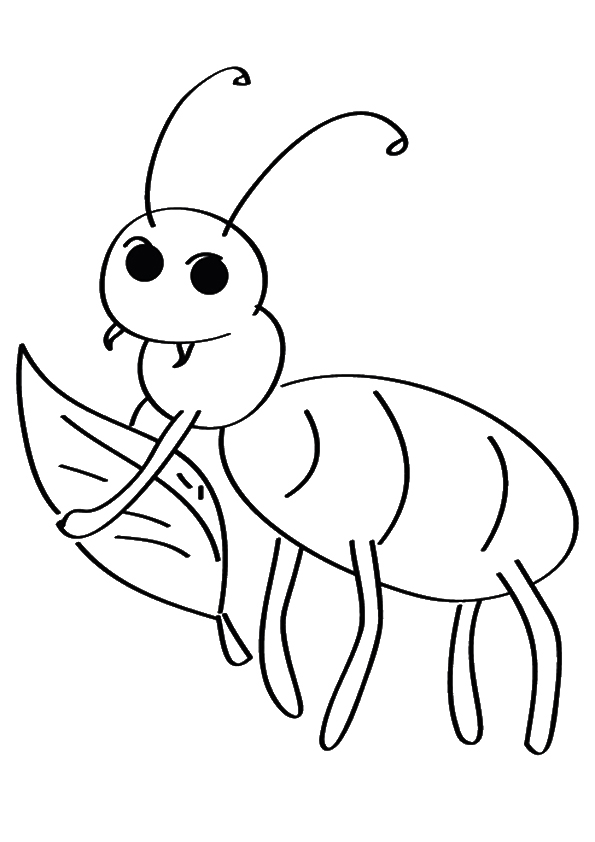 bug-coloring-page-0020-q2