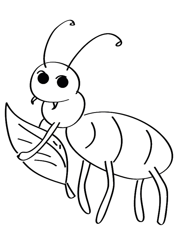 bug-coloring-page-0020-q2