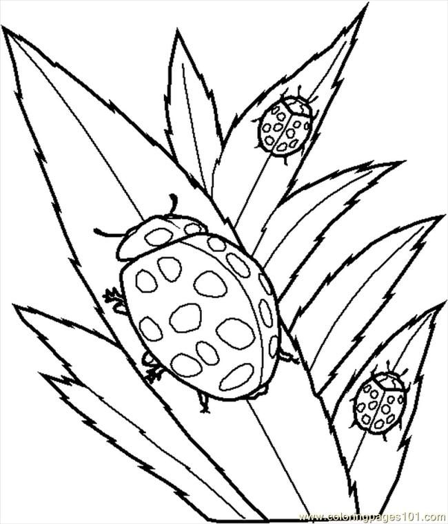 bug-coloring-page-0028-q1