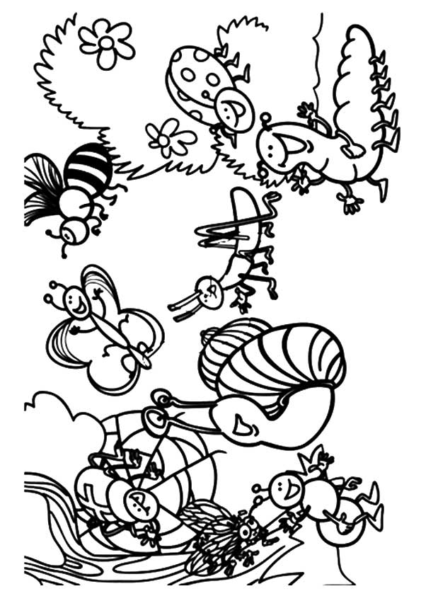 bug-coloring-page-0030-q2