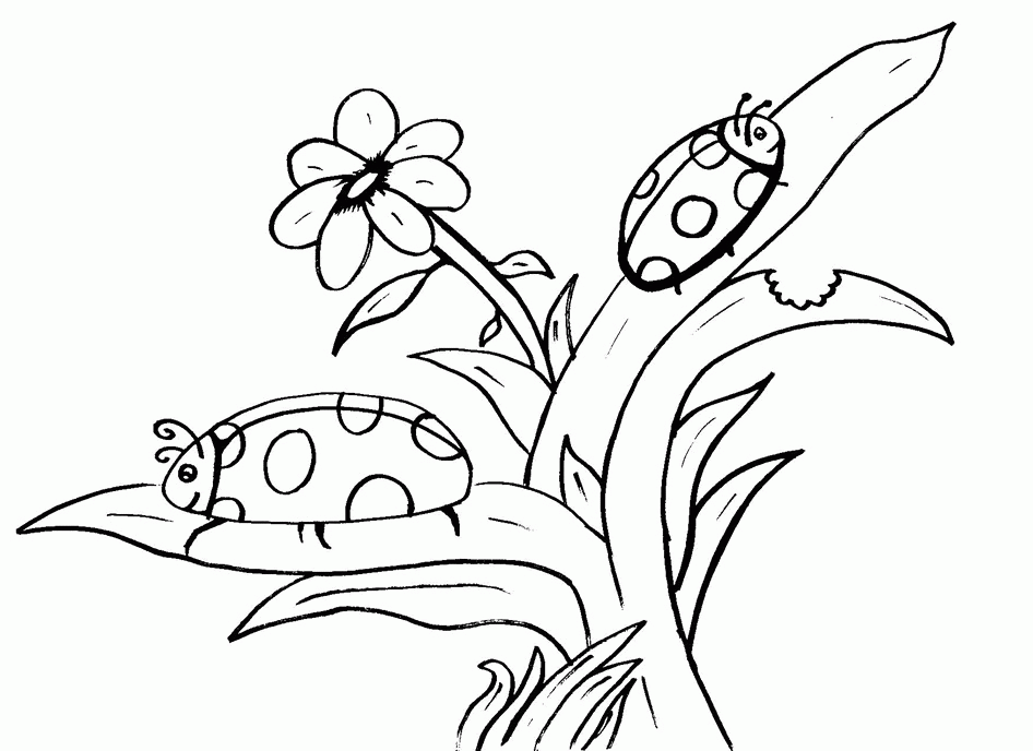 bug-coloring-page-0035-q1