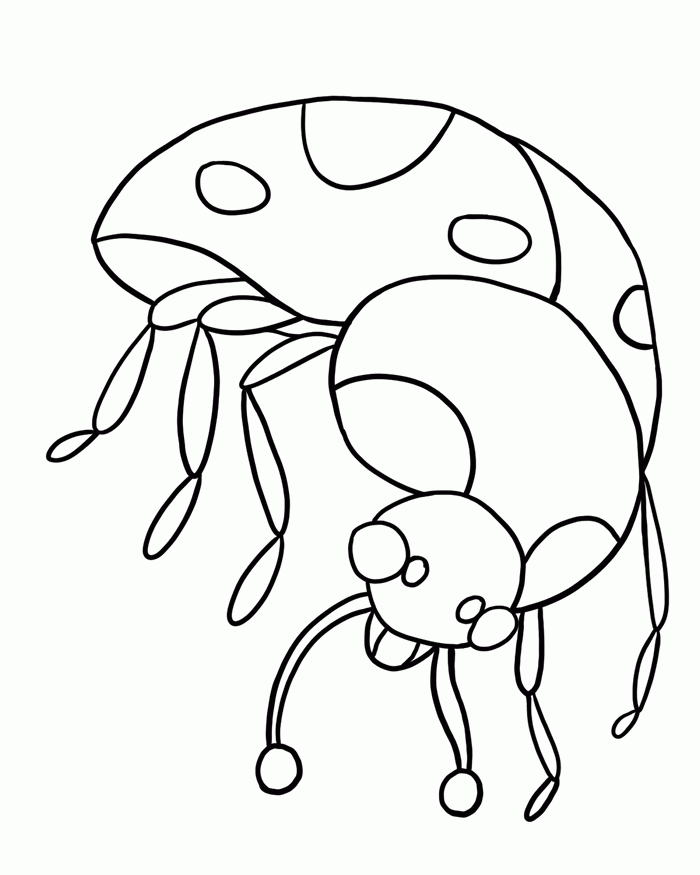 bug-coloring-page-0045-q1