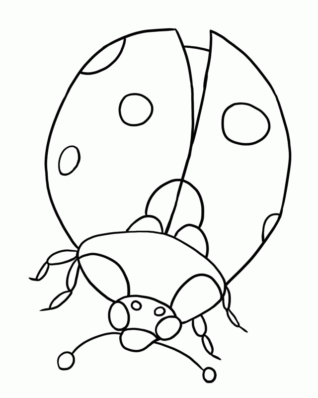 bug-coloring-page-0046-q1