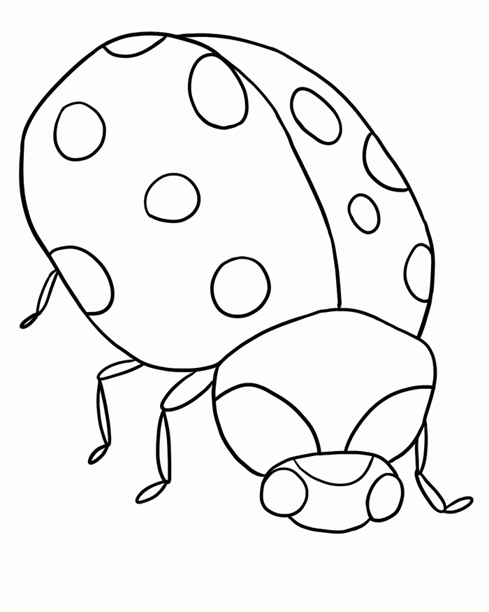 bug-coloring-page-0049-q1