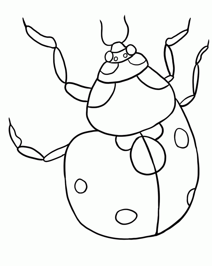 bug-coloring-page-0050-q1