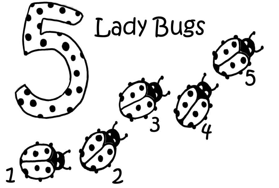 bug-coloring-page-0053-q1