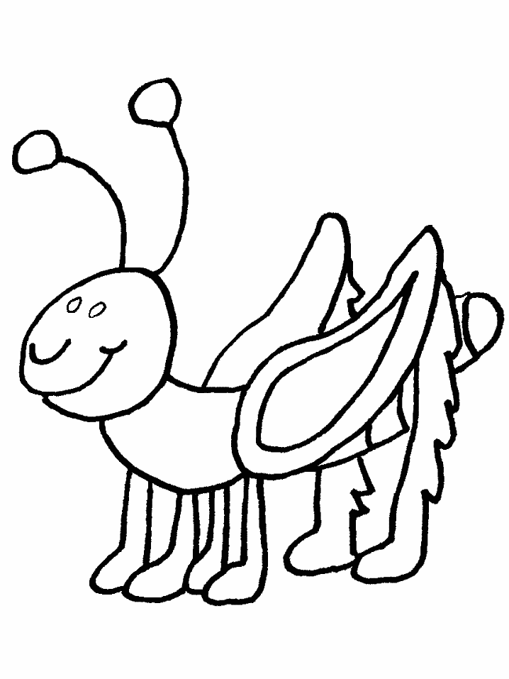 bug-coloring-page-0064-q1