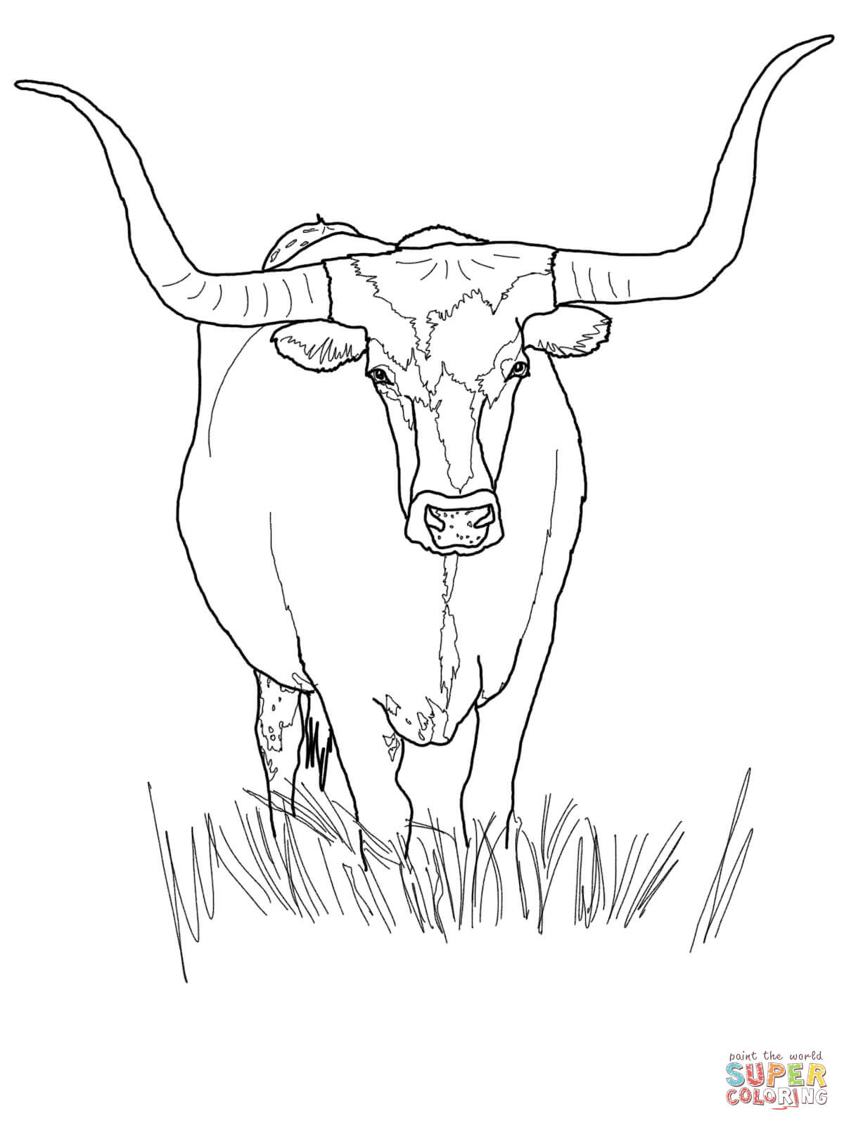 bull-coloring-page-0014-q1