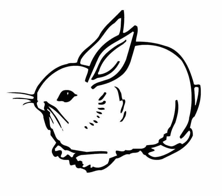 bunny-coloring-page-0011-q1