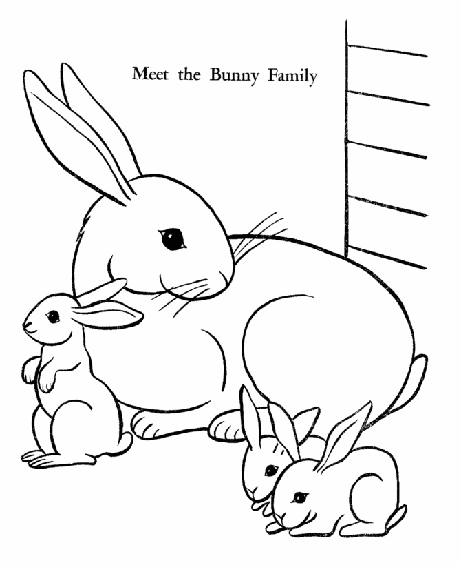 bunny-coloring-page-0019-q1