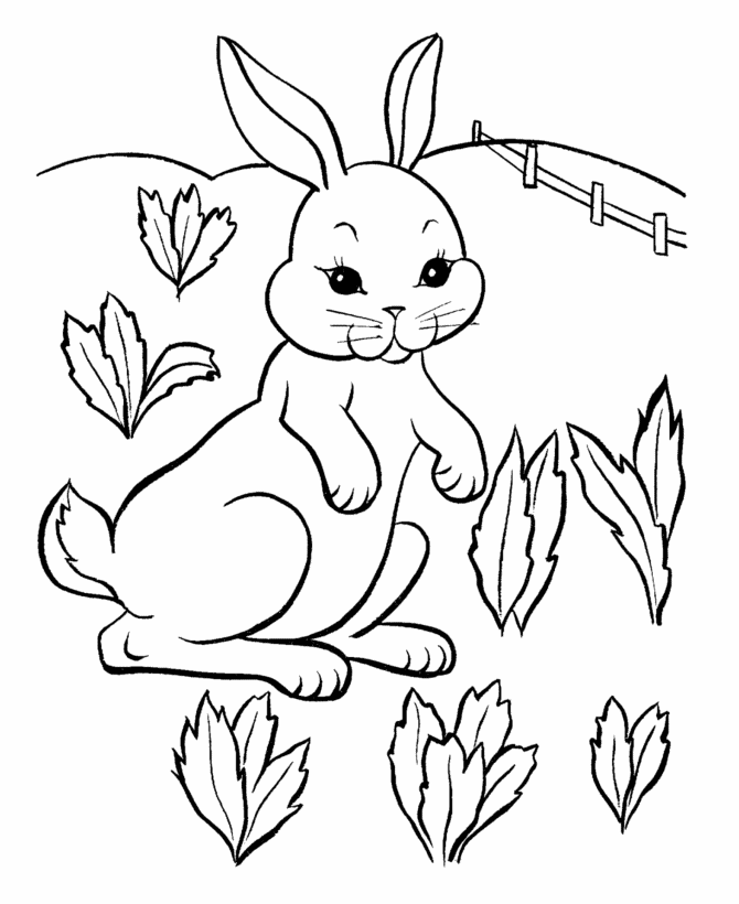 bunny-coloring-page-0025-q1