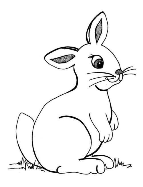 bunny-coloring-page-0026-q3
