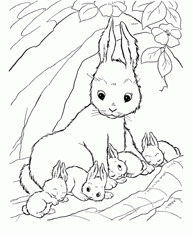 bunny-coloring-page-0055-q1