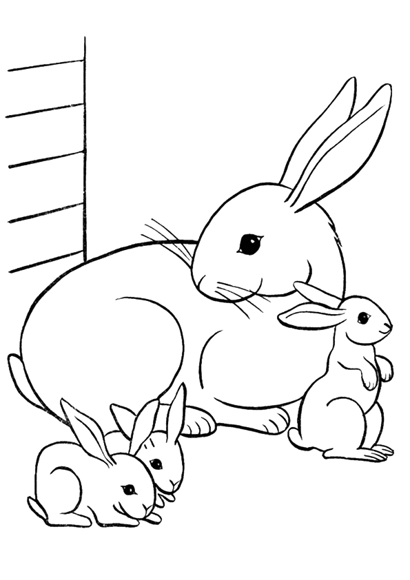 bunny-coloring-page-0067-q2