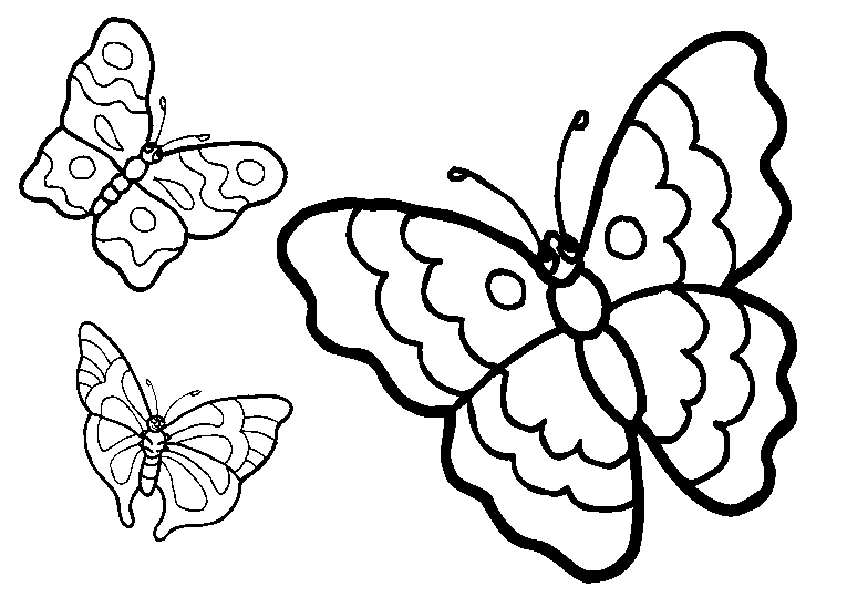 butterfly-coloring-page-0013-q3