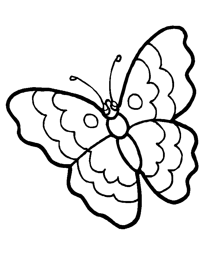 butterfly-coloring-page-0015-q1