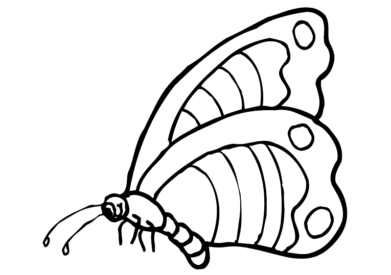 butterfly-coloring-page-0019-q3