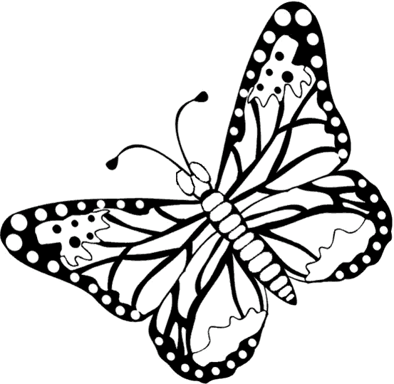 butterfly-coloring-page-0023-q3