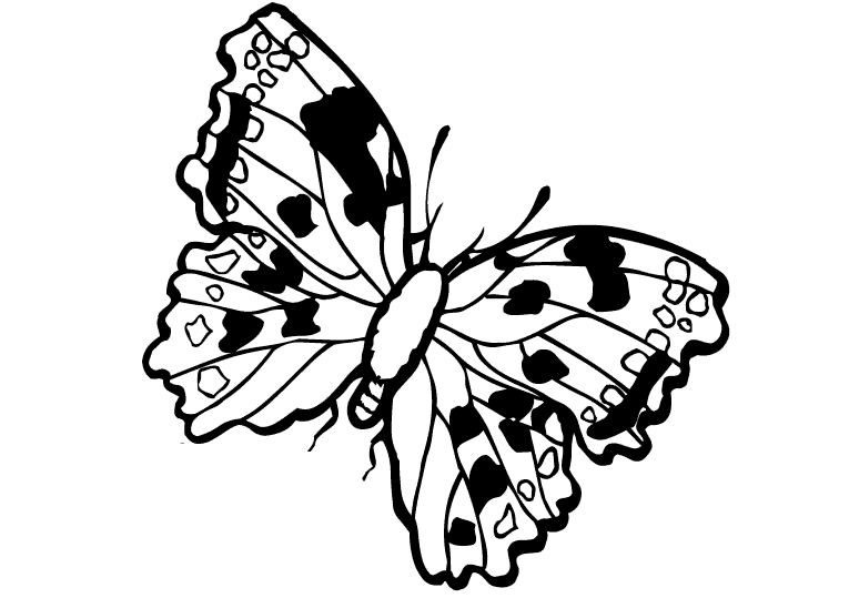butterfly-coloring-page-0025-q3