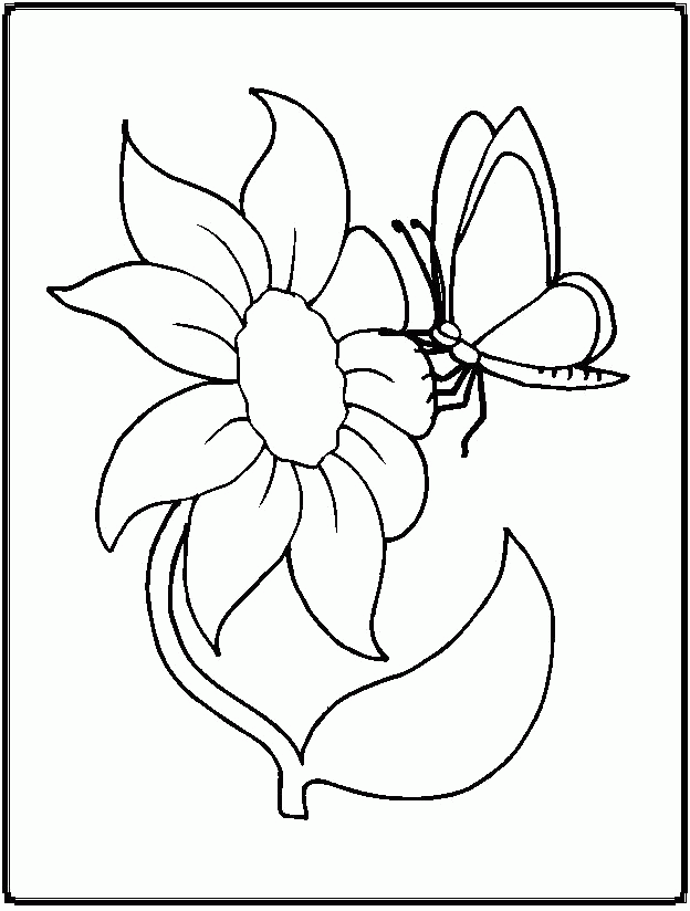 butterfly-coloring-page-0033-q1