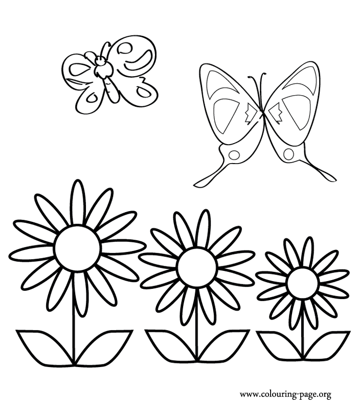 butterfly-coloring-page-0064-q1