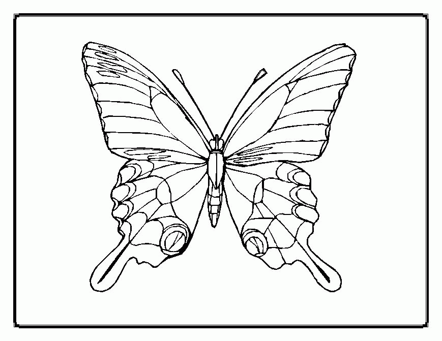 butterfly-coloring-page-0070-q1