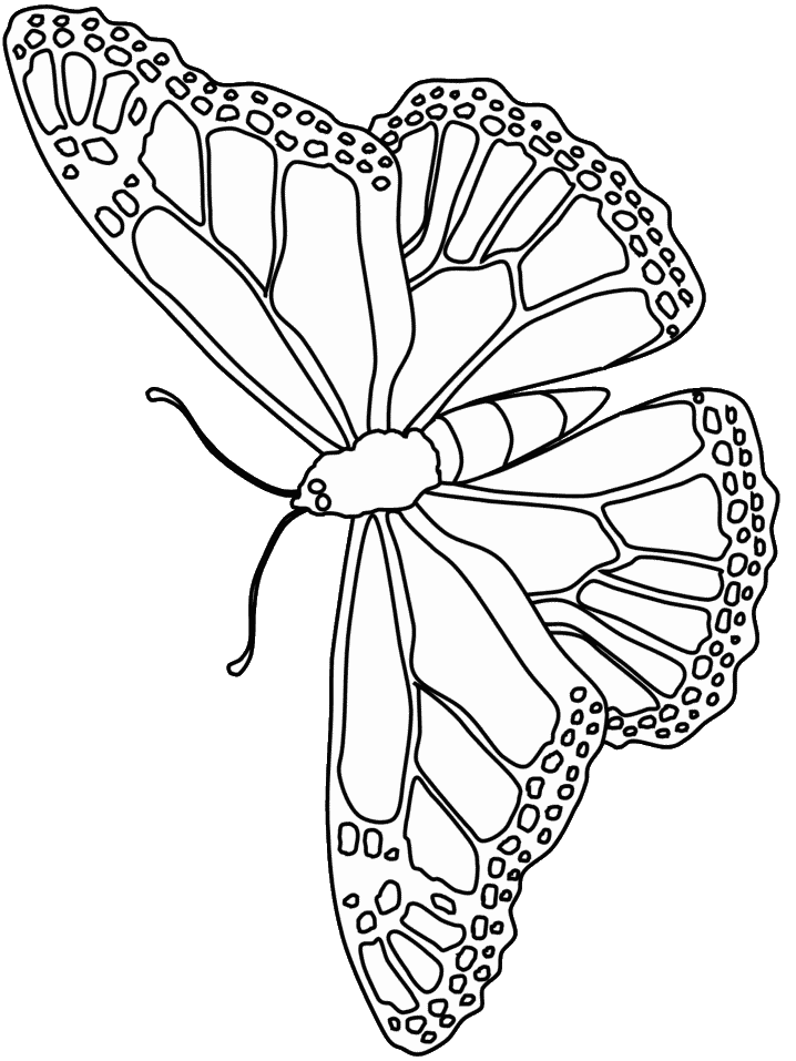 butterfly-coloring-page-0073-q1