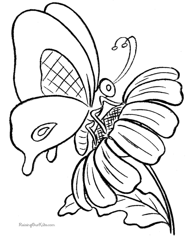 butterfly-coloring-page-0080-q1