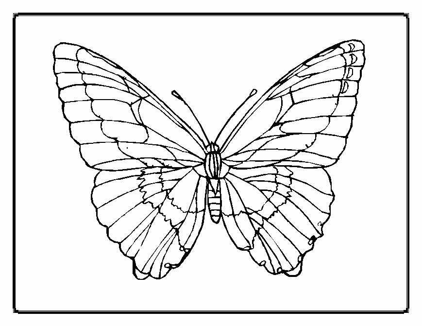 butterfly-coloring-page-0087-q1