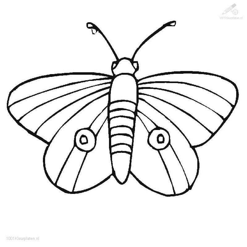 butterfly-coloring-page-0095-q1