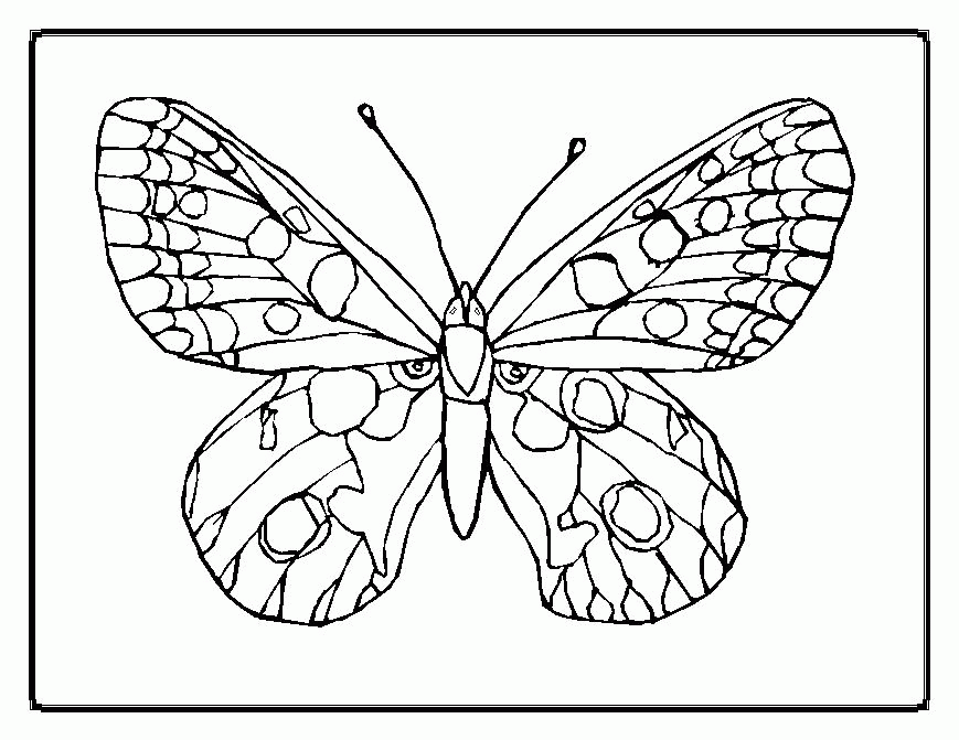 butterfly-coloring-page-0098-q1