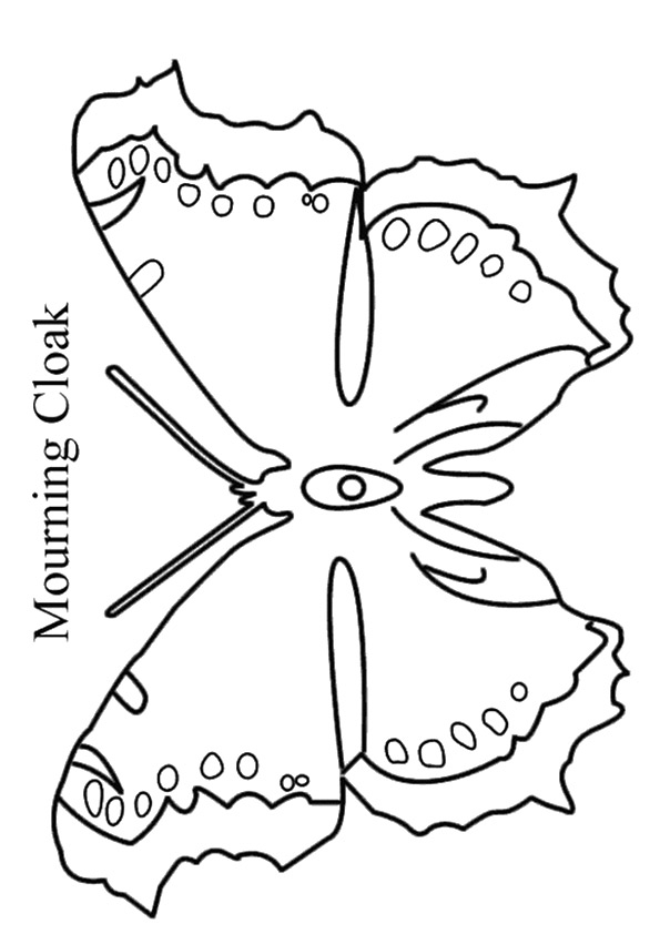 butterfly-coloring-page-0105-q2