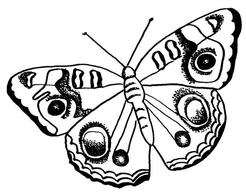 butterfly-coloring-page-0106-q1