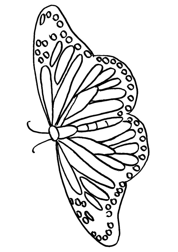 butterfly-coloring-page-0118-q2