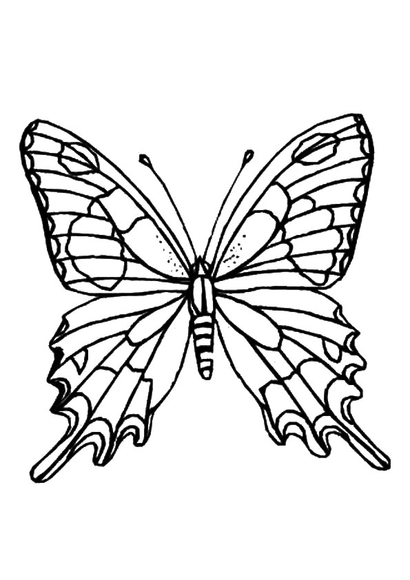 butterfly-coloring-page-0119-q2