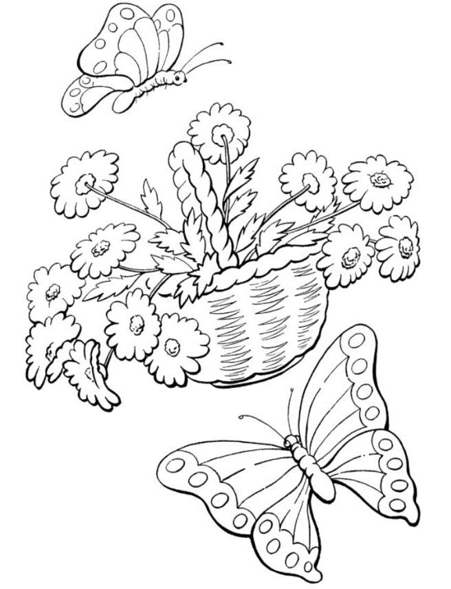 butterfly-coloring-page-0125-q1